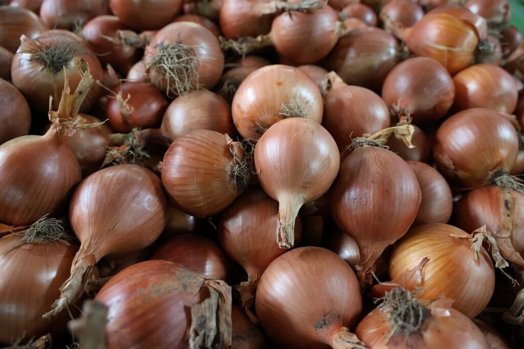 Cebulowe szaleństwo – sadzimy wiosnę