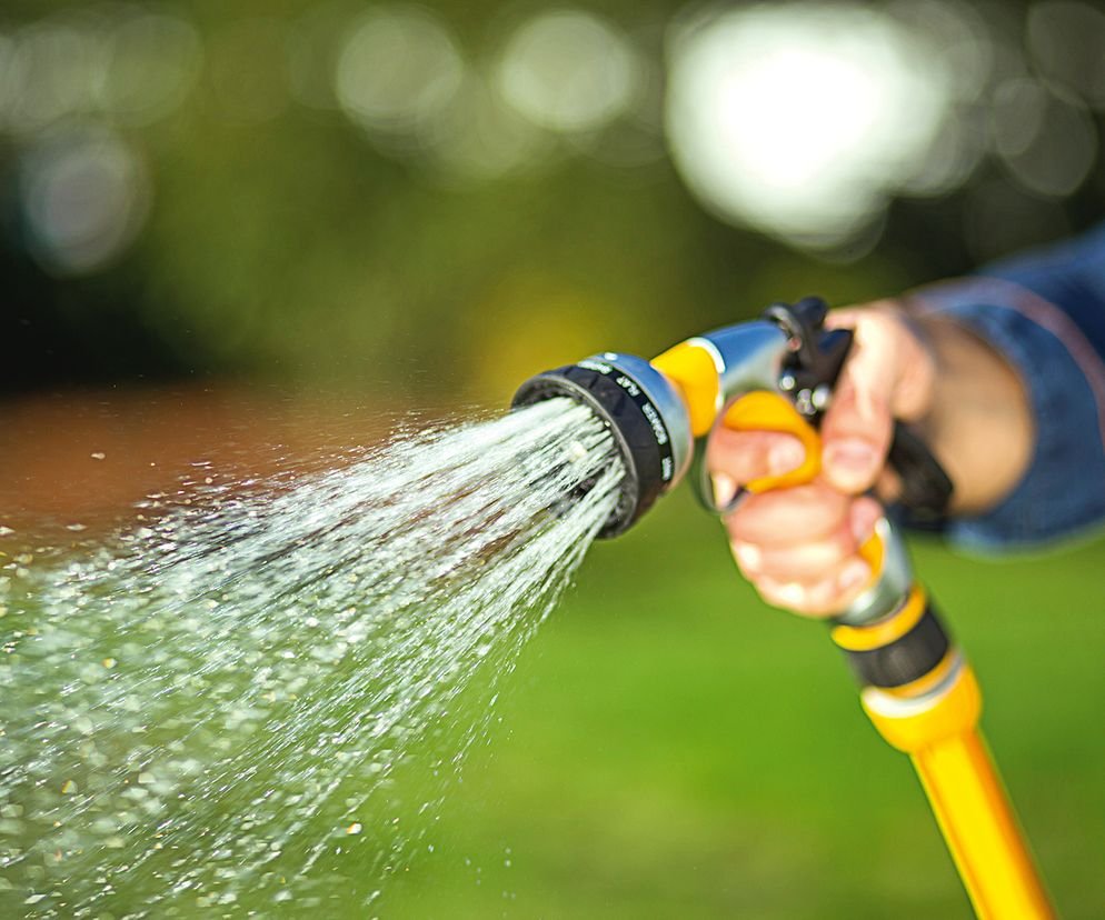 Jak mądrze podlewać ogród w upały?