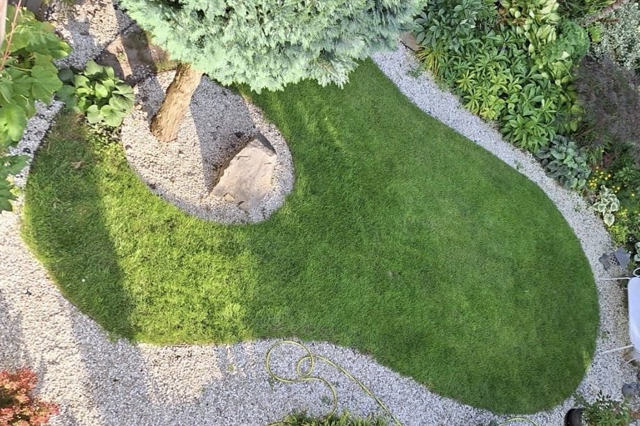 Regeneracja trawnika po zimie – krok po kroku