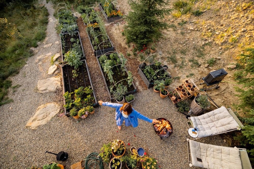 Zbiory i przetwory – co robimy w lipcu?